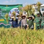 Panen raya padi di Kelurahan Sukolilo Baru, Kecamatan Bulak, Senin, (7/4/2025) (Istimewa)