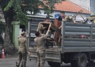 Penertiban PKL di Jalan Indrapura Surabaya (dok. Satpol PP Surabaya)
