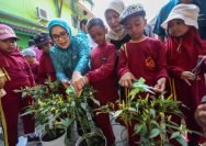 Anak-anak yang hadir tampak antusias saat diajak panen sekaligus dikenalkan berbagai jenis tanaman (Istimewa)