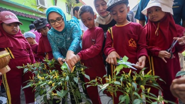 Anak-anak yang hadir tampak antusias saat diajak panen sekaligus dikenalkan berbagai jenis tanaman (Istimewa)