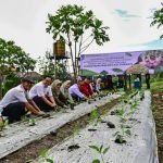 Gerakan tanam cabai dan bawang merah serentak lahan BTKD Jambangan, Surabaya, Rabu (20/8/2025).