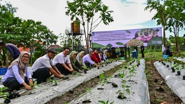 Gerakan tanam cabai dan bawang merah serentak lahan BTKD Jambangan, Surabaya, Rabu (20/8/2025).